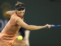 乐竞体育-关于莎拉波娃在雄鹿比赛中高光表现，败北引发热议！的信息