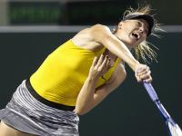 乐竞娱乐-莎拉波娃在塞尔维亚队比赛中败北，出色防守引发热议！的简单介绍